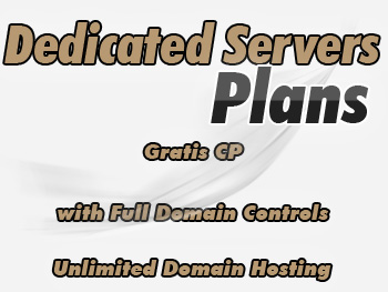 Economical dedicated servers hosting account